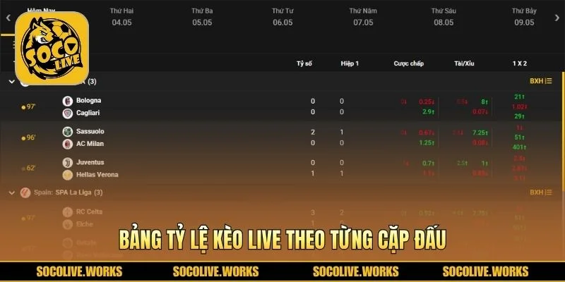 Bảng kèo live gọn rõ theo nhịp từng trận