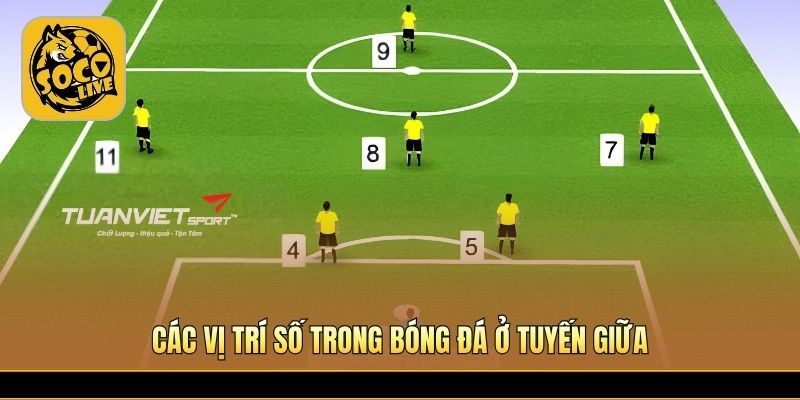 Các vị trí số trong bóng đá kiểm soát thế trận hiệu quả 