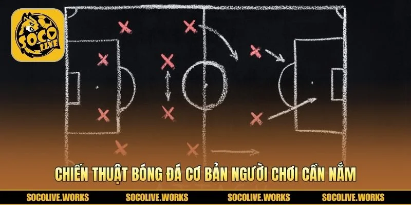 Kiến thức nền tảng giúp hiểu cách vận hành đội bóng