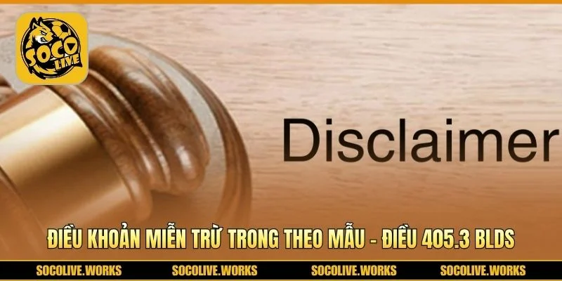 Tính minh bạch trong điều khoản miễn trừ trách nhiệm