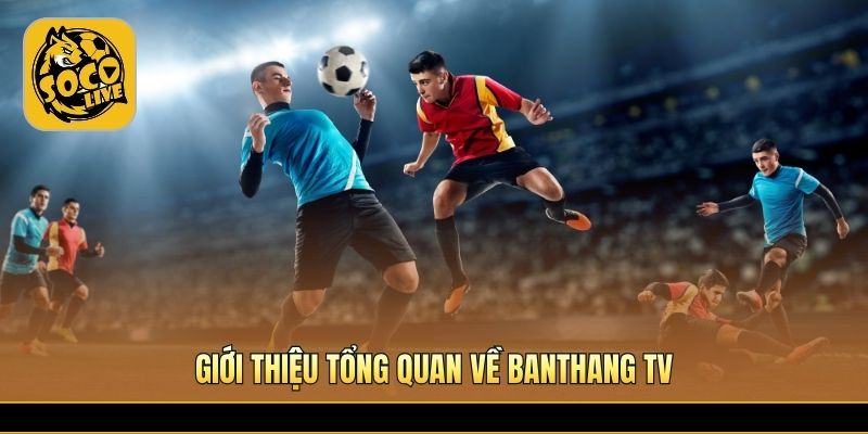 Banthang TV cập nhật bóng đá trực tuyến cực nhanh mỗi ngày