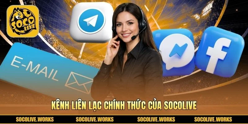Ba kênh liên hệ chính thức phản hồi theo mức độ khẩn cấp