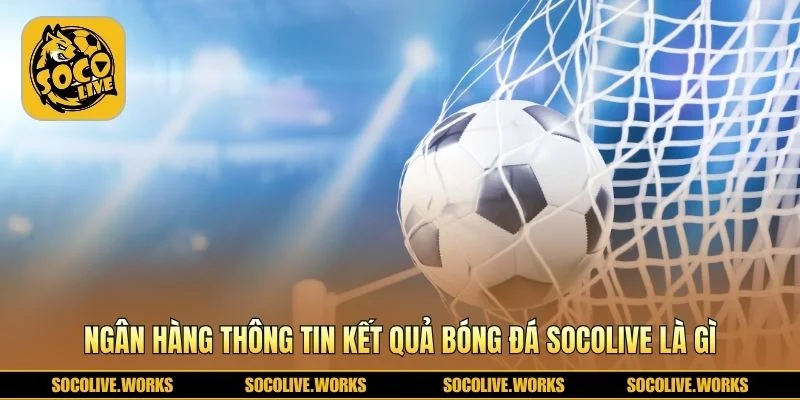 Kho lưu trữ tỷ số có cấu trúc giúp tra cứu KQBĐ nhanh chóng