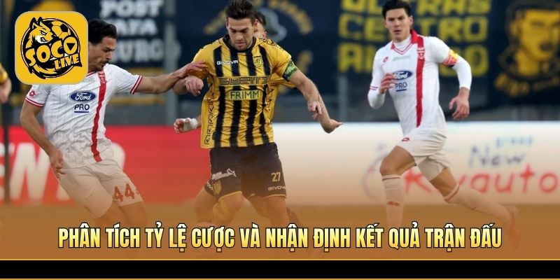 Dự đoán tỷ số play-off Serie B hấp dẫn hôm nay 