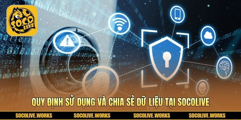 Quy trình quản lý thông tin minh bạch và đúng chuẩn