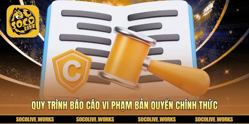 Cơ chế tiếp nhận khiếu nại bản quyền