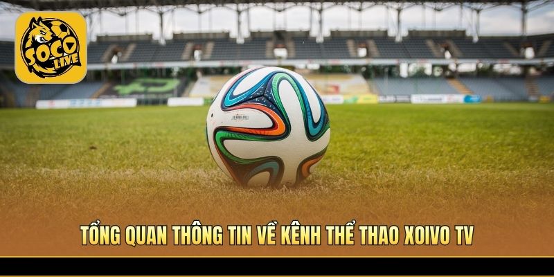 Xoivo TV cập nhật bóng đá nhanh và ổn định mỗi ngày 