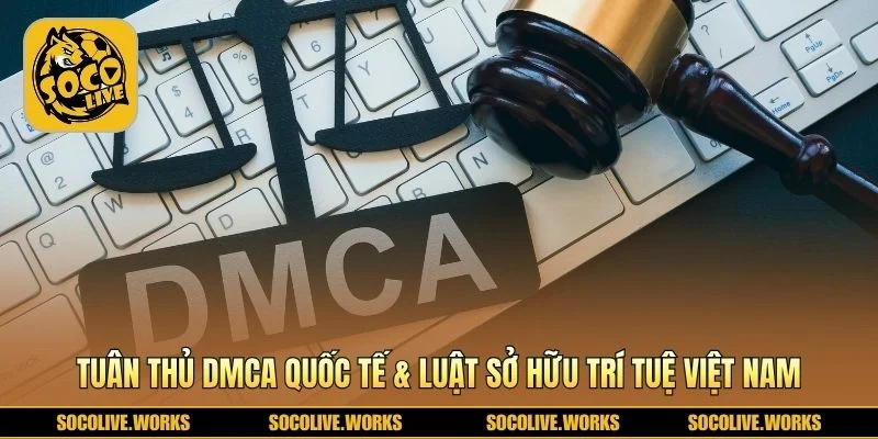 Khung pháp lý bảo vệ bản quyền theo chuẩn DMCA
